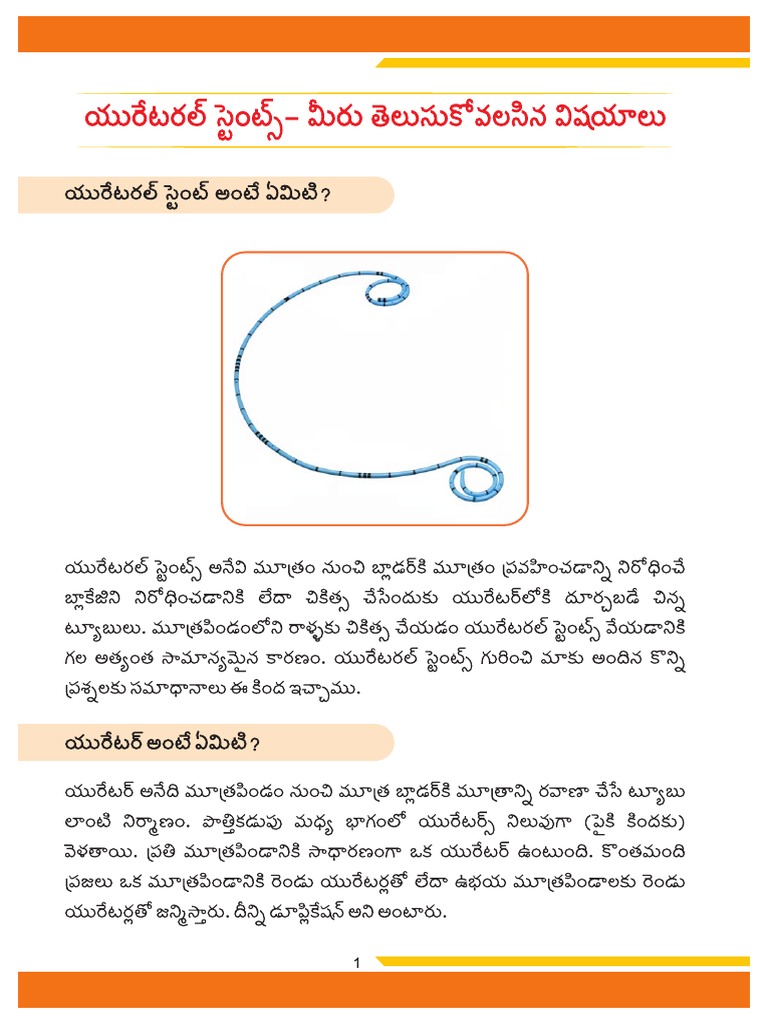Stand Brouhcure IN SIDE Telugu PDF