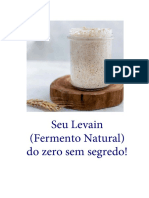 Apostila Levain Do Zero