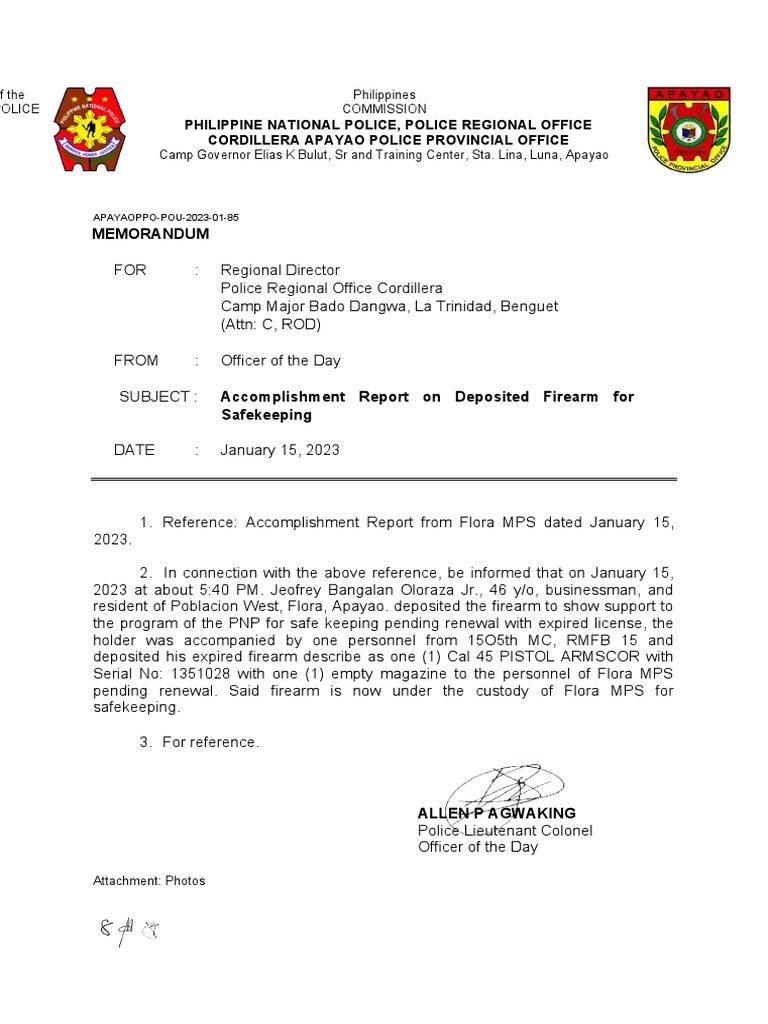 Firearm Safekeeping Accomplishment Report | PDF
