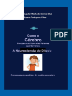 Livro Como o Cérebro Processa Os Sons Das Palavras Que Ouvimos A