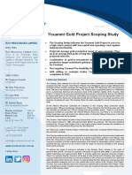 Youanmi Gold Project Scoping Study