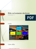 Ribe Sa Kostanim Skeletom