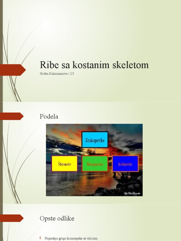 Ribe Sa Kostanim Skeletom | PDF