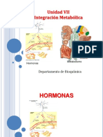 Hormonas Sin Audio