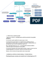 REVOCACCIONYRATIFICACION