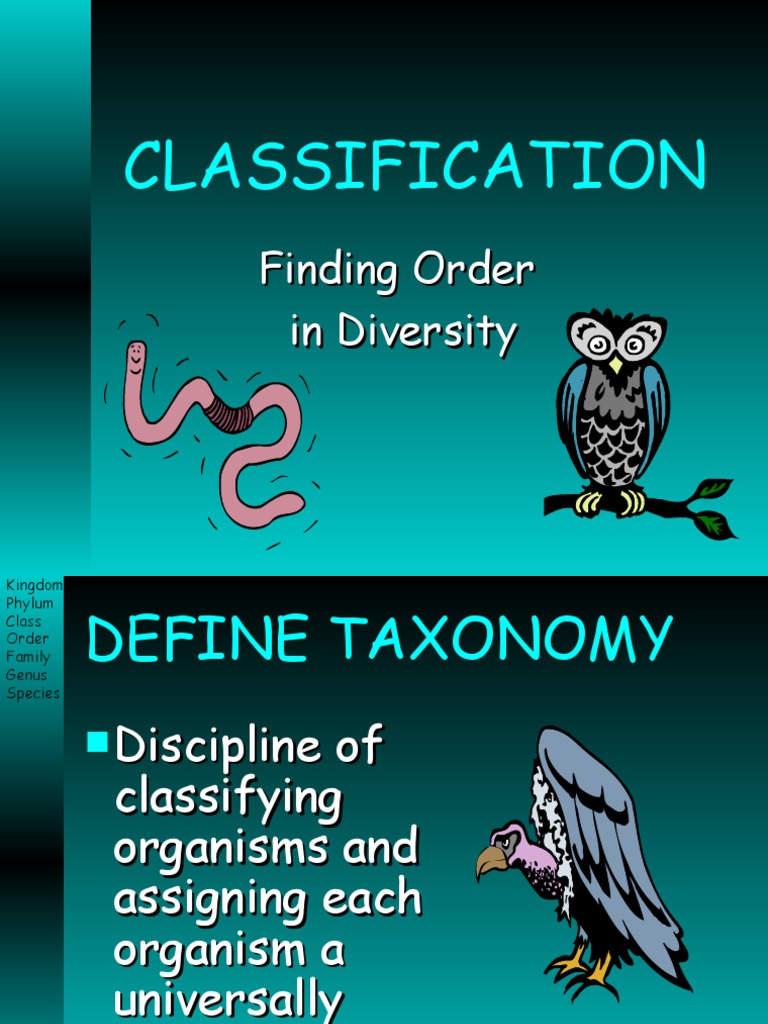 Levels of Classification PDF Genus Taxonomy (Biology)