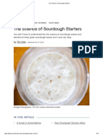 The Science of Sourdough Starters