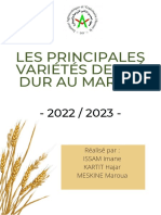 RAPPORT .Les Principales Variétés de Blé Dur Au Maroc