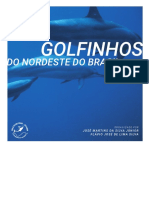 Golfinhos-do-nordeste-do-brasil