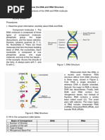 DNA Replication Overview and Insights | PDF | Dna | Dna Replication