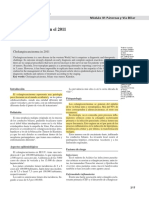 Colangiocarcinoma en El 2011 Revisado