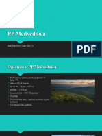 PP Medvednica