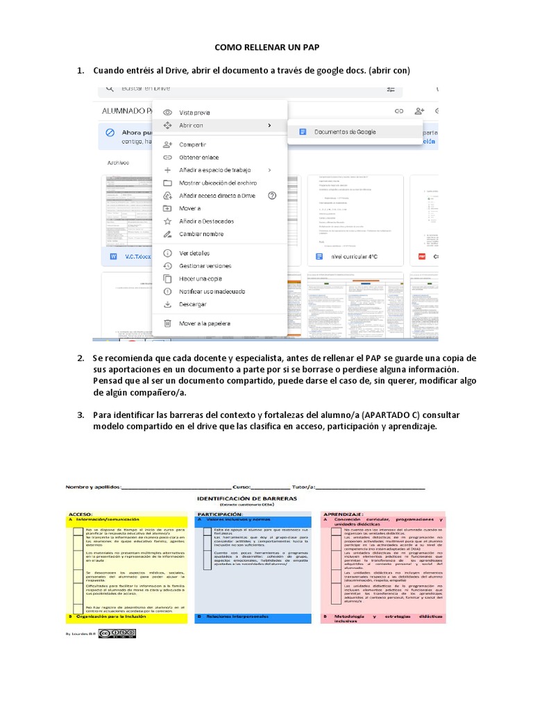 Guía para Rellenar un PAP | PDF | Maestros | Salón de clases