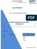 Stage D'initiation: Rapport de Stage Au Sein de VITEL Assurances