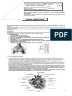 TEMA 5 - Sistema Circulatorio (Práctica)