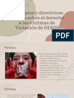 Derechos de Las Víctimas de Violaciones de DDHH
