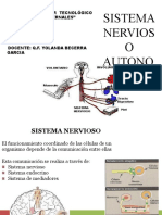 Sistema Nervioso Autonomo