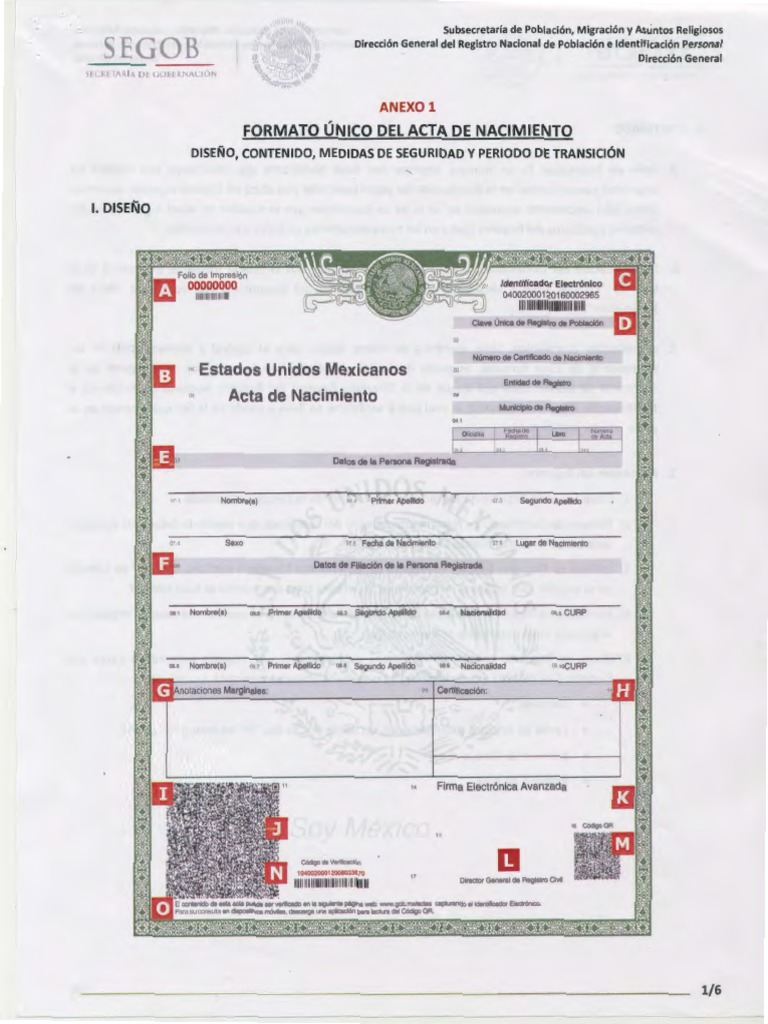Formato Único del Acta de Nacimiento | PDF | Información del gobierno ...