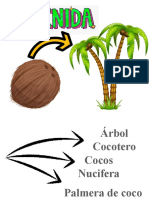 Exposicion de Coco para Imprimir