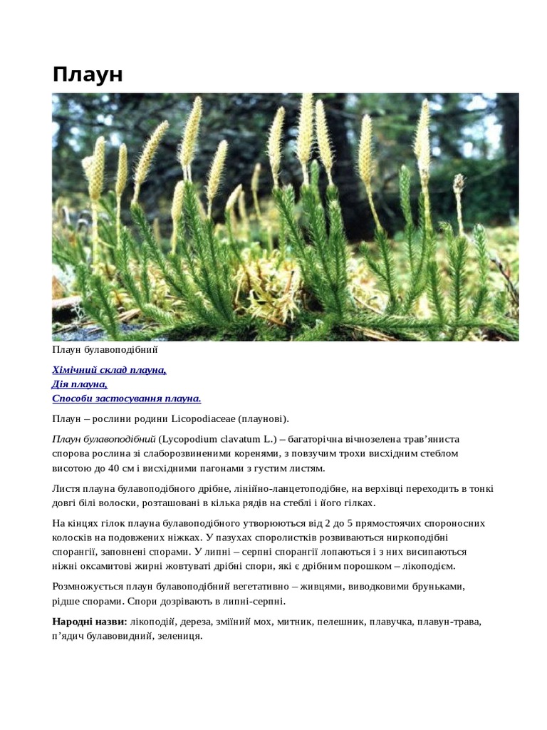 ПЛАУНИ | PDF