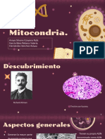 Mitocondria