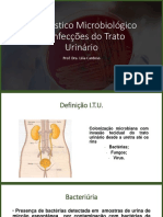 Diagnóstico Microbiológico de Infecções Do Trato Urinário