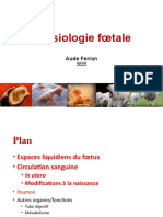 iphysiologie_foetale_2022
