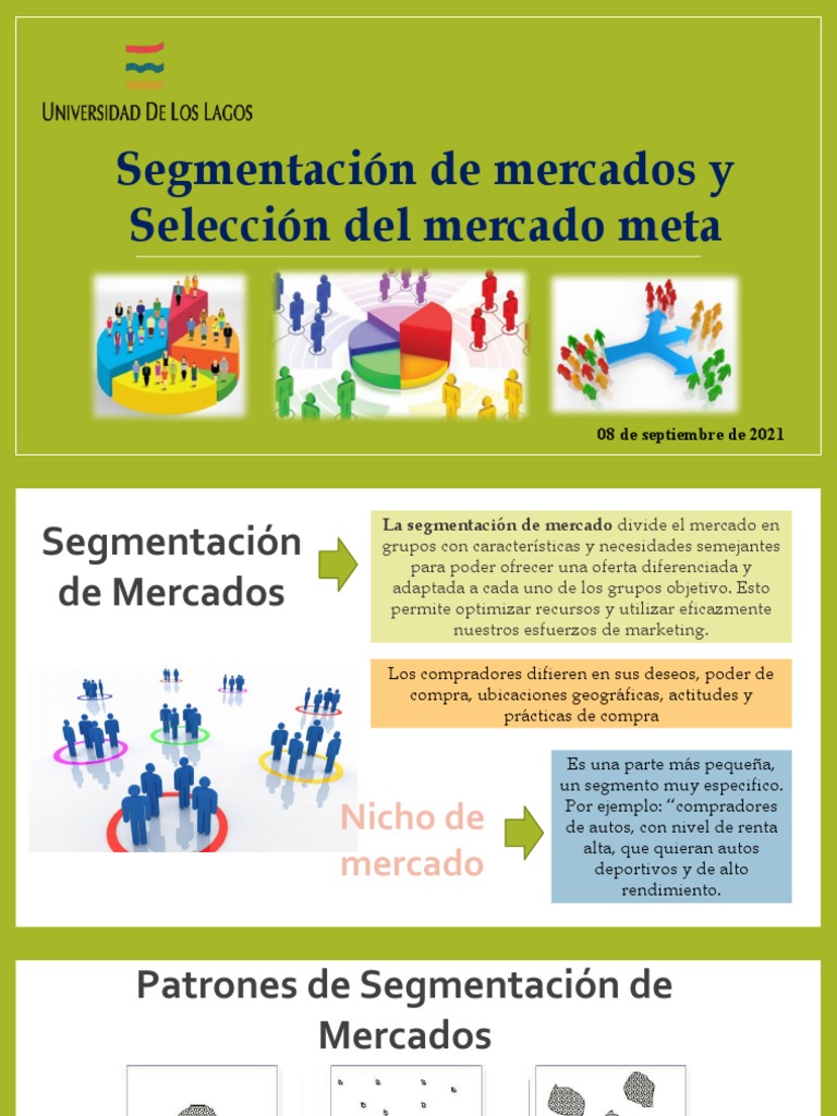 Segmentación de Mercados | PDF | Mercado (economía) | Producto (Negocio)