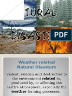 Natural Disasters I Picture Dictionaries - 111493