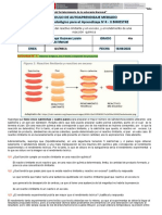 Actividad 1 y 3 Dmpa - 04 - Quimica - Cuarto