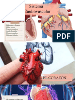 Presentación Cardiovascular