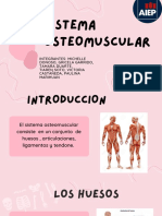 Sistema Osteomuscular