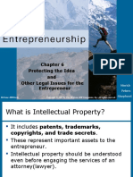Entr - 06 - Intellectual Rights