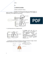 TEMA 2. Fonetica Acustica