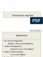 Trichomonas