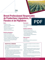 Brevet Professionnel Responsable de Productions Légumières, Fruitières, Florales Et de Pépinières