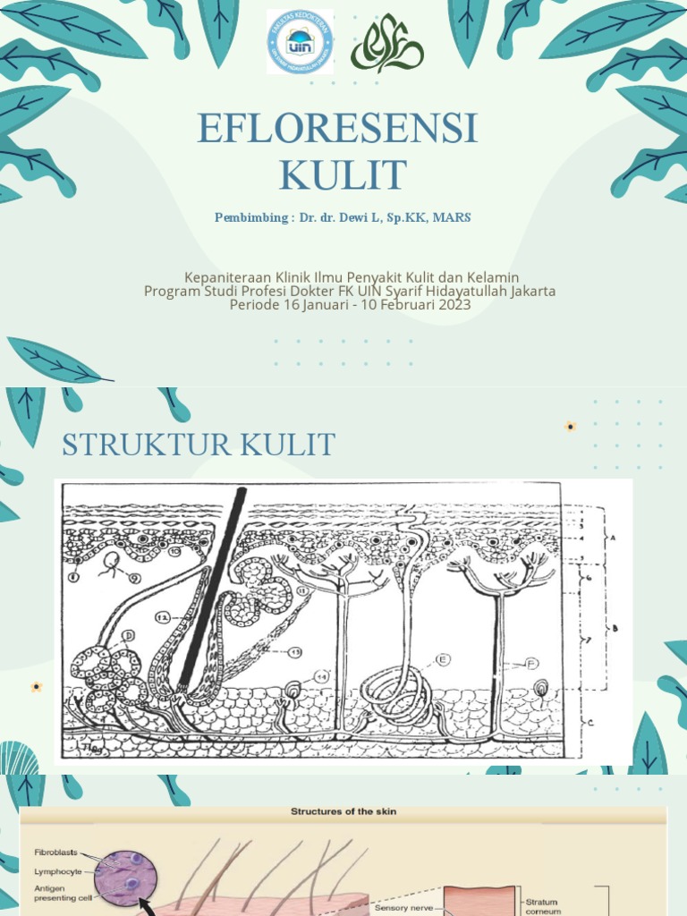 Morfologi dan Jenis Efloresensi Kulit | PDF