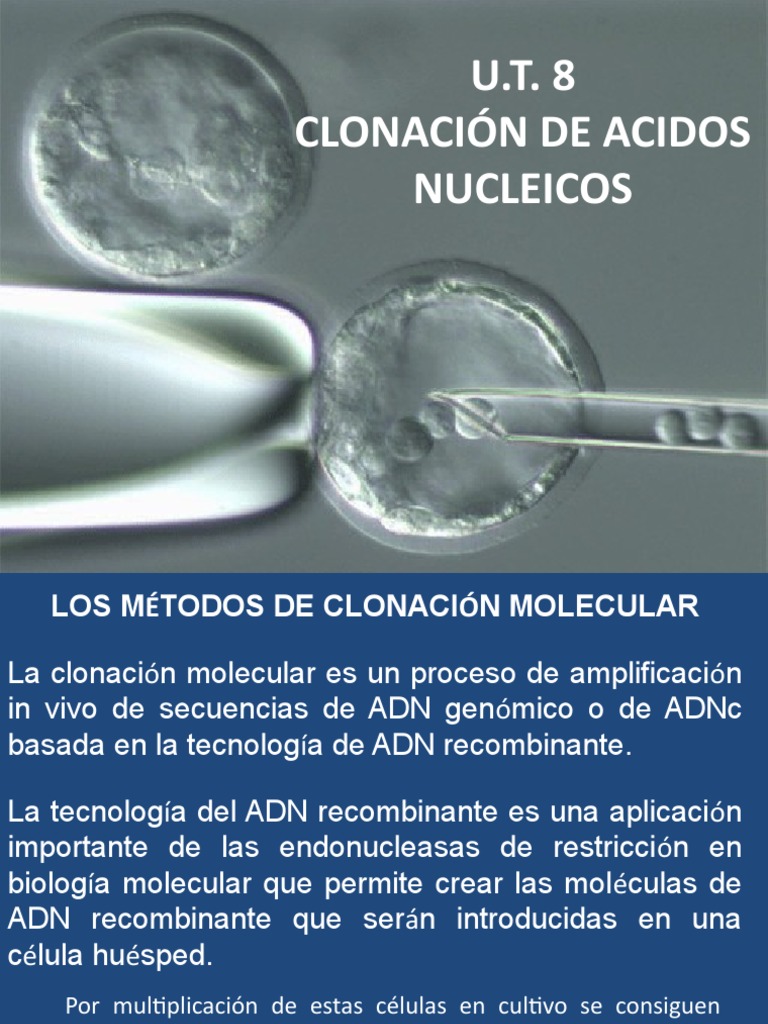 U.T. 8 - Clonacion de Acidos Nucleicos | PDF | Plásmido | Adn