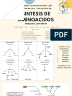 Sintesis de Aminoacidos