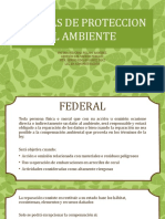 Normas Ambientales (Federal - Estatal - Municipal) - Fatima Azucena Pelayo Ramírez