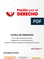 Diapositivas de La Sesión 5 - TUTELA de DERECHOS