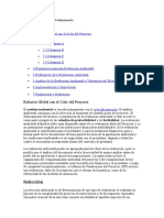 Análisis Ambiental y El Ciclo Del Proyecto