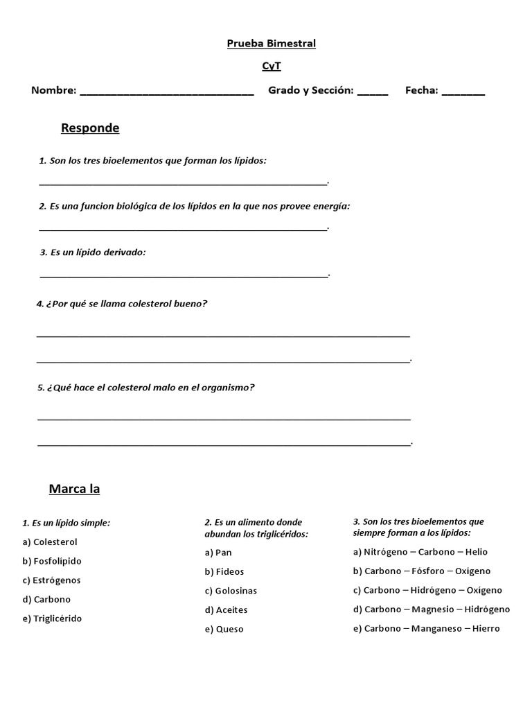 prueba-cyt-pdf-cidos-nucleicos-nucle-tidos