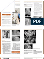 Improve International Manual Clinico de Cirugia de Pequenos Animales Volume II Cirugia Ortopedica