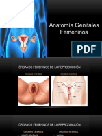 2 Anatomia Genitales Externos e Internos