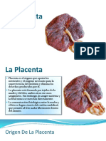 1 Placenta y Anexos Ovulares