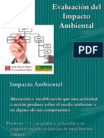 Evaluacion Del Impacto Ambiental