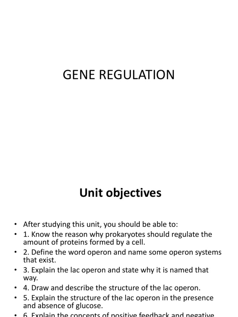 Gene Regulation PDF PDF