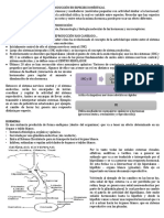 Endocrinologia