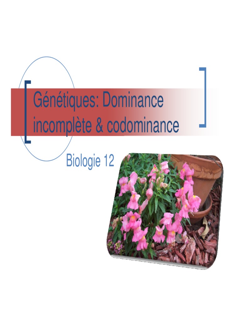Codominance et dominance incomplète | PDF | Dominance (Génétique ...